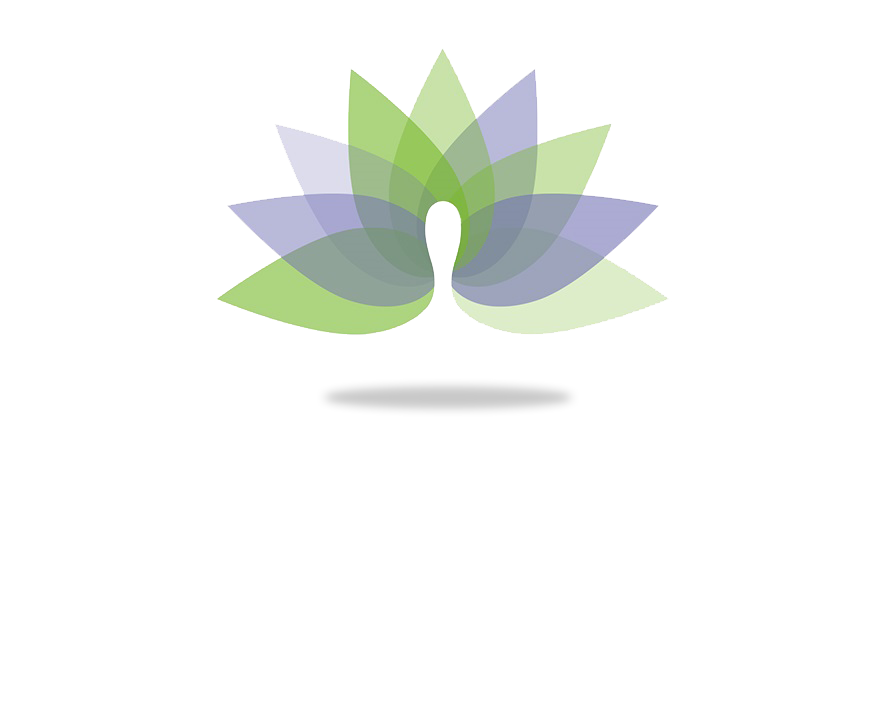 LOGO Van den Tweel Foundation